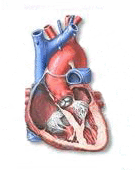 Angina pectoris