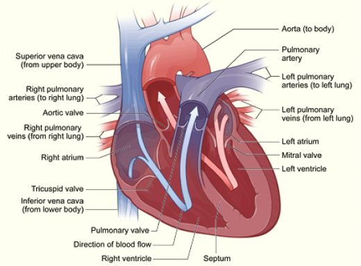 Aspirin Therapy for heart