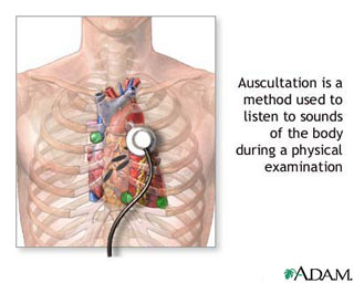 Auscultation (lung) - Heart and Breath Sounds
