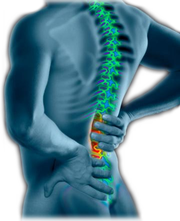 Back pain - lower / upper and acute - causes, symptoms and treatment