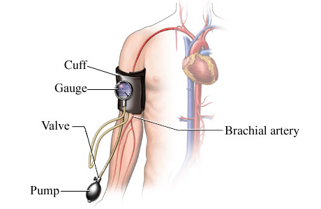 Blood Pressure - low / high - normal / systolis / diastolic