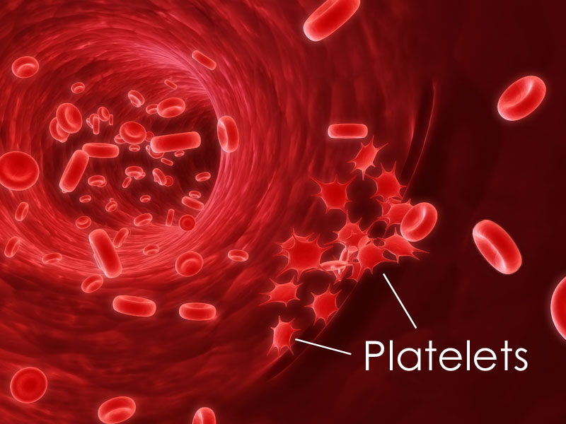 Coagulation cascade - blood process