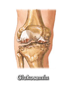 Glucosamine sulfate