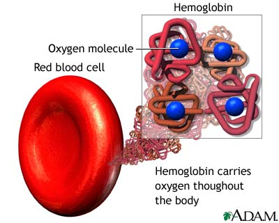 Hemoglobin - what is, definition, levels
