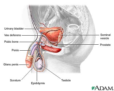 Orchiopexy surgery / procedure - risks and side effects