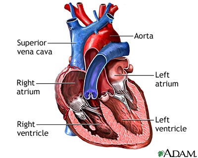 Palpitations - definition and causes