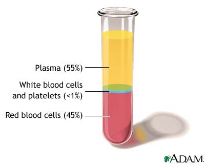 Plasma definition