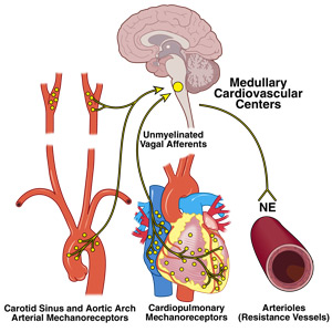 Syncope definition and causes